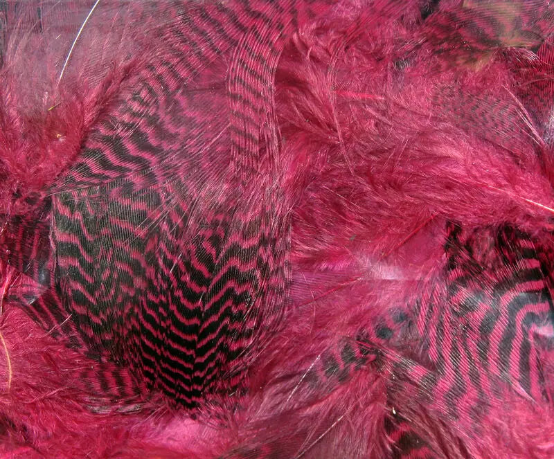 Hareline Teal Flank Feathers - Claret #63 Hareline Dubbin