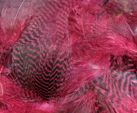 Hareline Teal Flank Feathers - Claret #63 Hareline Dubbin