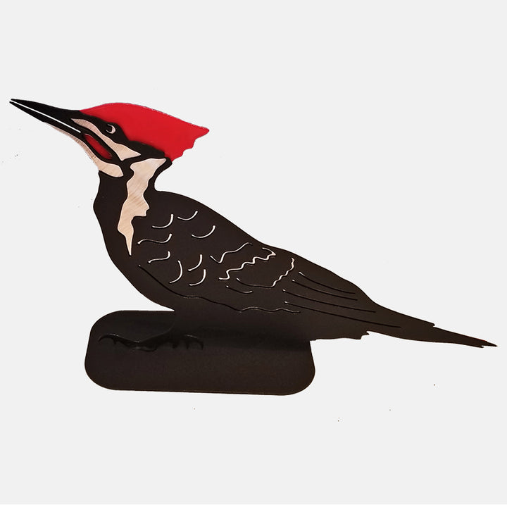 Ruggid Coast Pileated Woodpecker, Standing