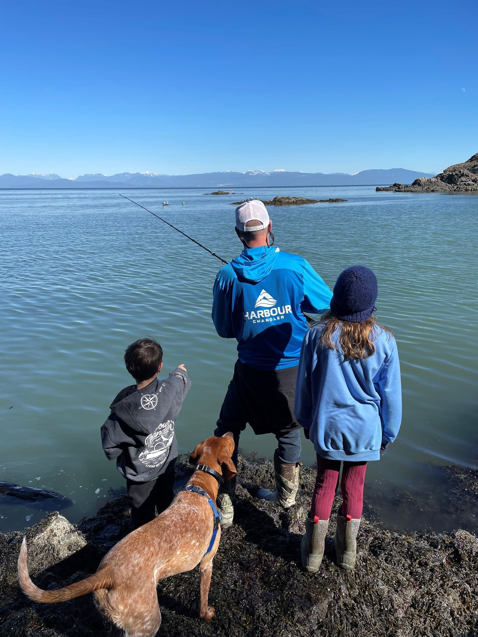 The Herring Spawn is Happening!! The Harbour Chandler