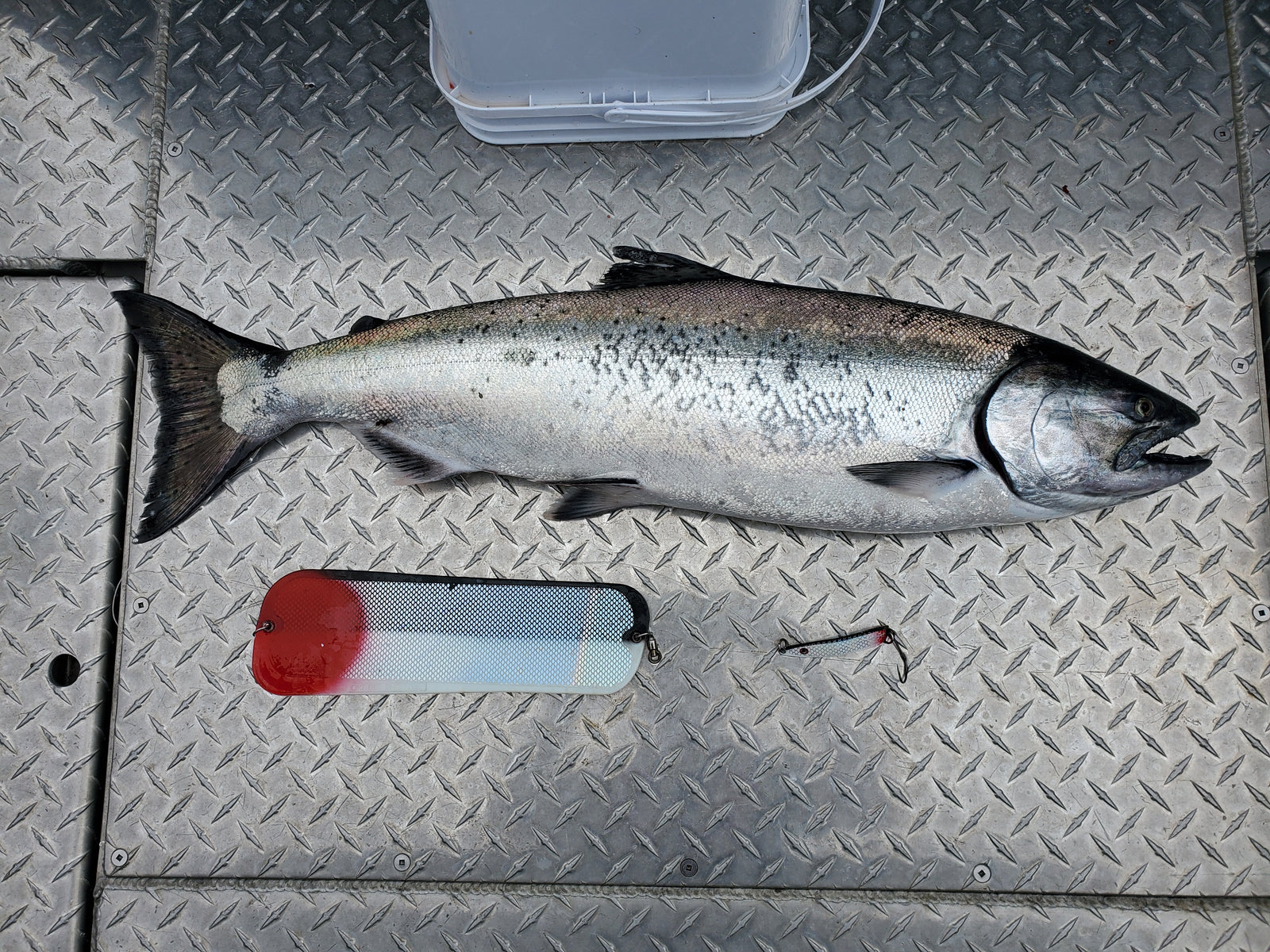 Big Chinook & Bite Times