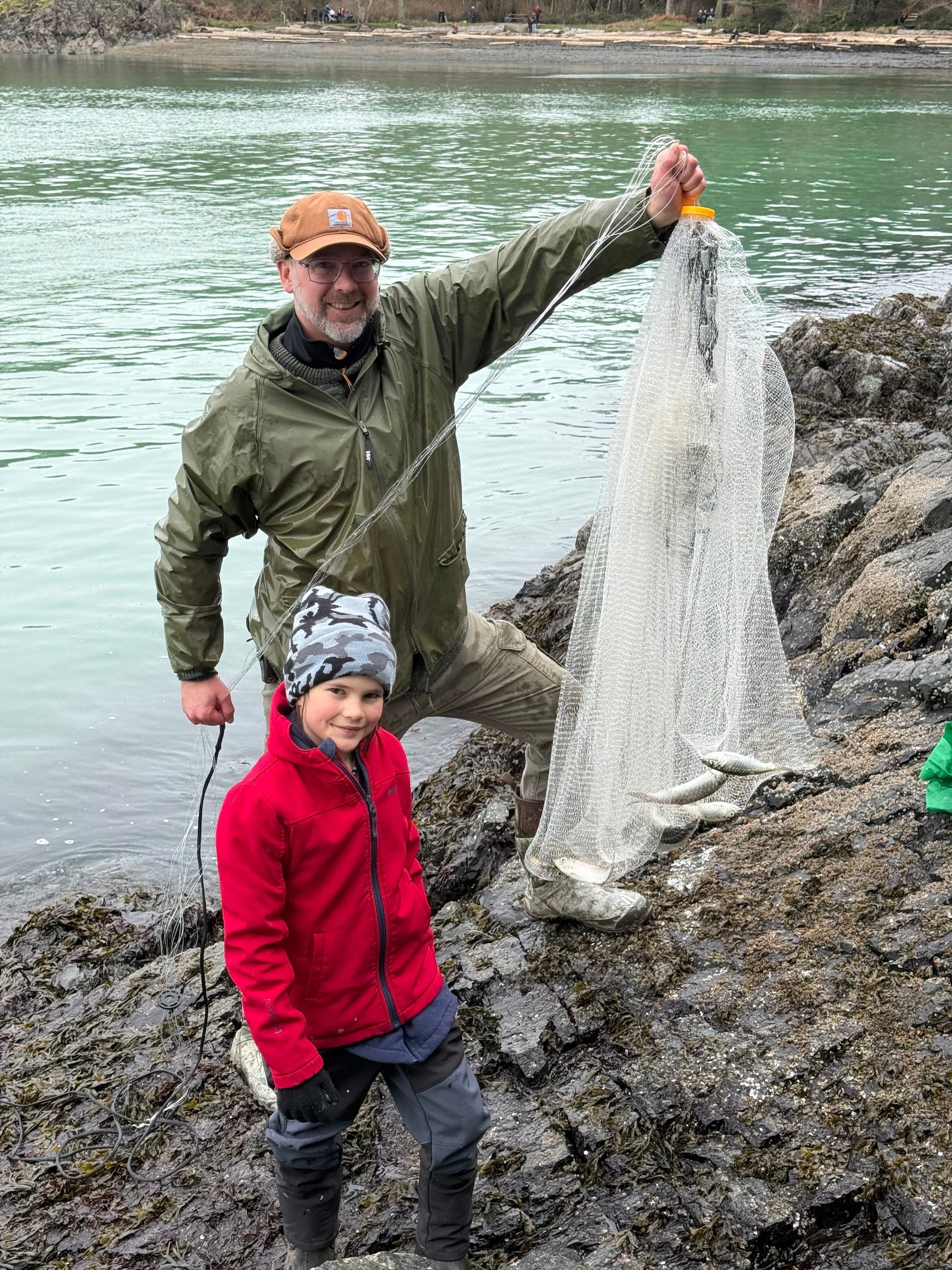 Catching Herring The Harbour Chandler