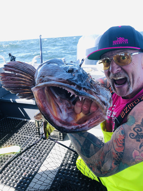 Lingcod Time! The Harbour Chandler