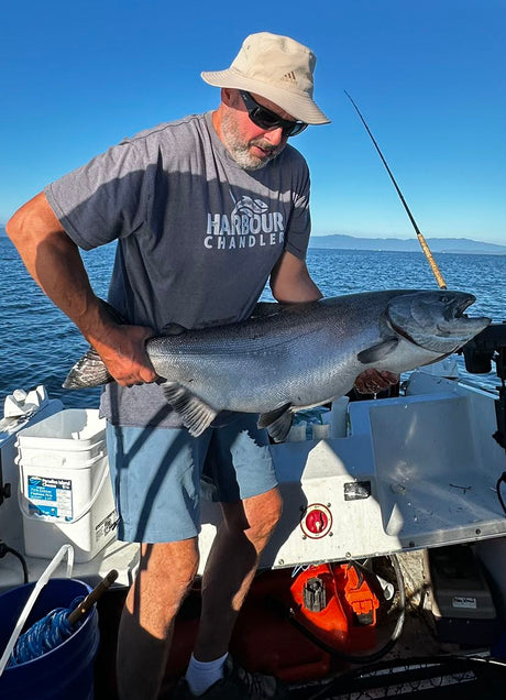 Big Chinook Rolling in!!