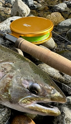 Freshwater Fishing Time!