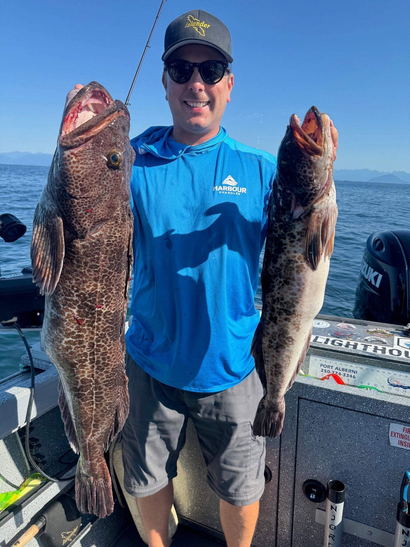 Lingcod Opening! The Harbour Chandler