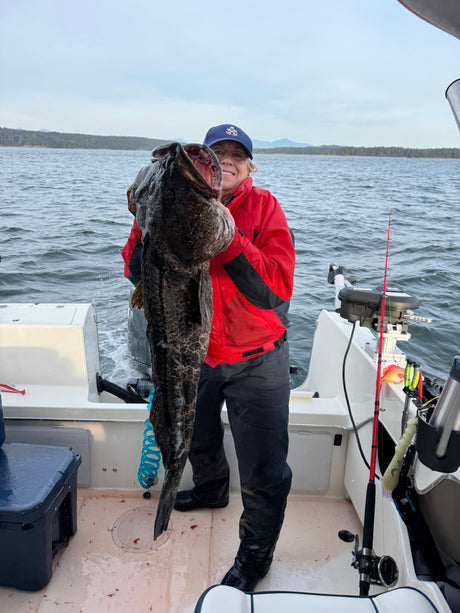 Lingcod Fishing is Hot! The Harbour Chandler