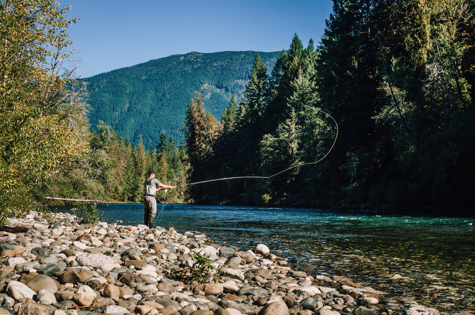 Fly Fishing Equipment: Essential Tools for Success on Vancouver Island The Harbour Chandler