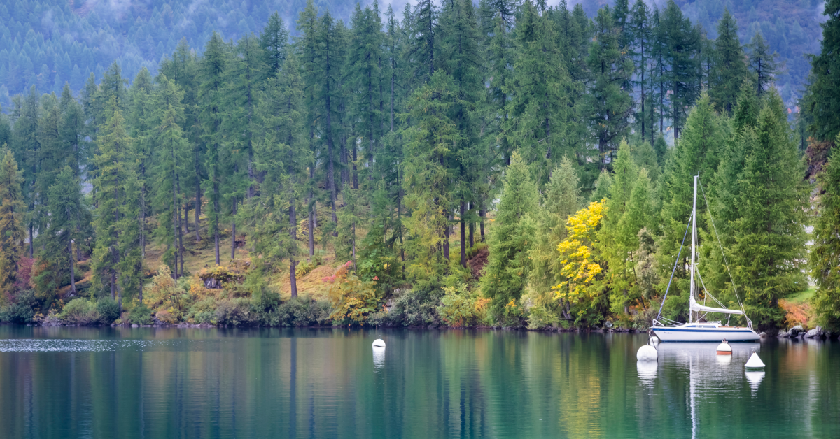 Anchor Sizing Guide for the West Coast: Find the Perfect Fit for Your Boat