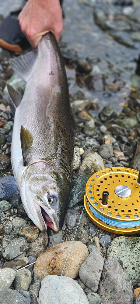 The Island Rivers Are Hot!