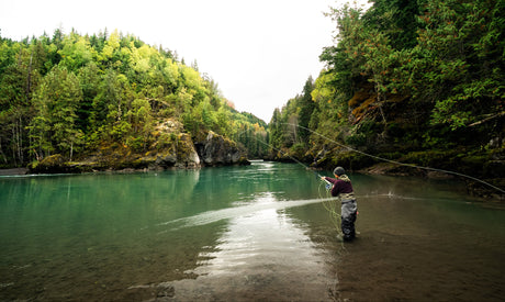 Beginner Fly Fishing Gear Checklist (What You Actually Need)
