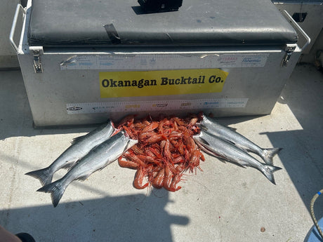 Summer fishing is here!