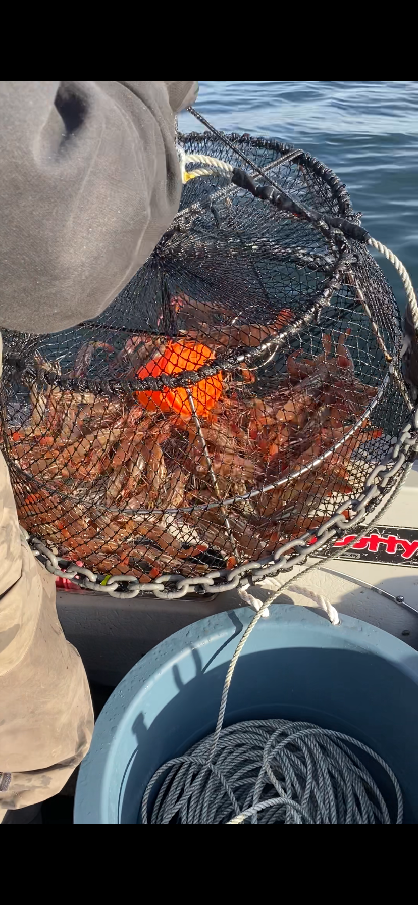 Good Prawning and lots of Feeder Springs