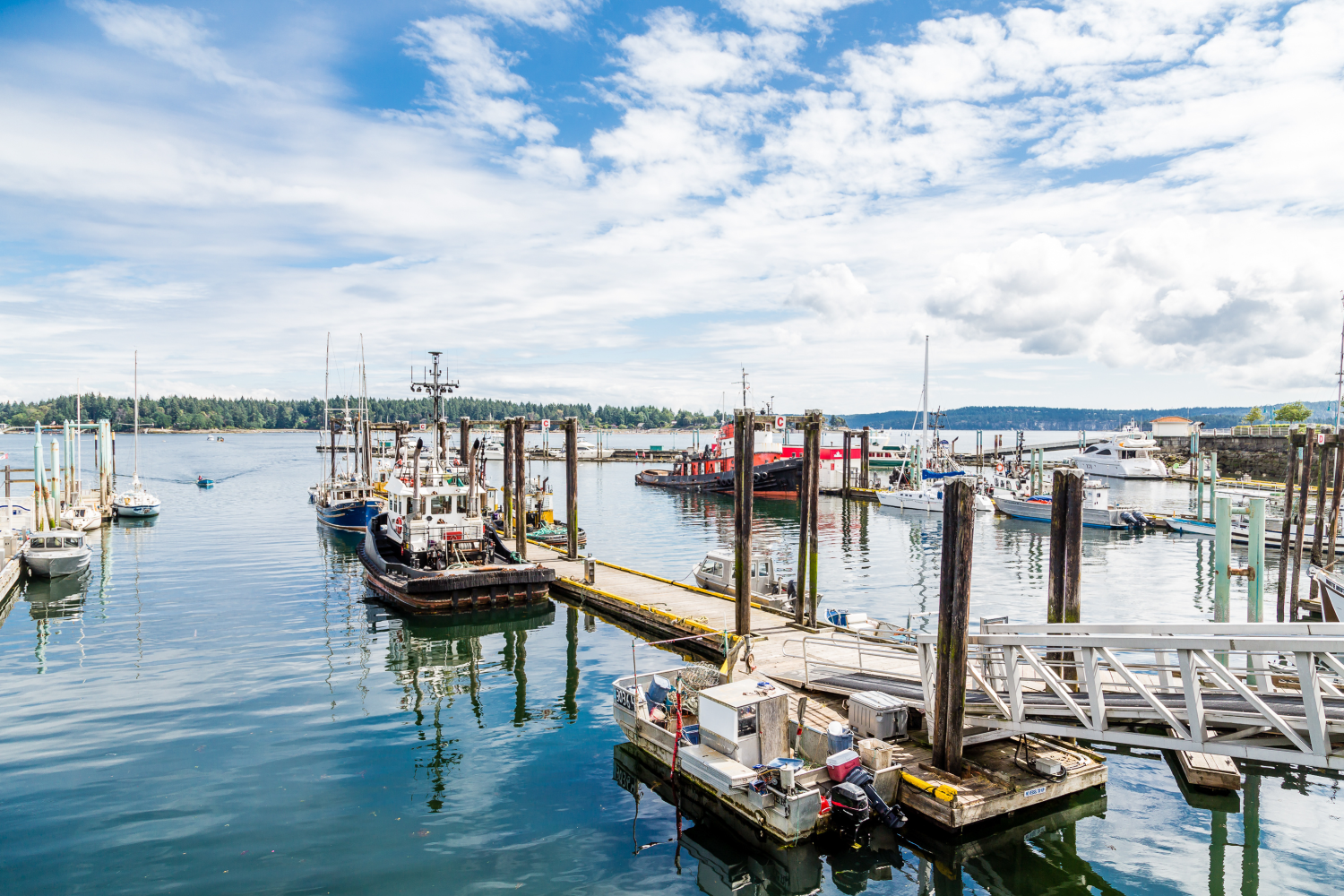 Fishing Nanaimo’s Lakes, Rivers, and Coast: Everything You Need to Know The Harbour Chandler
