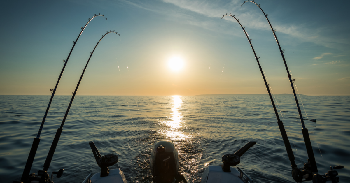 Top 5 Salmon Trolling Rods for Vancouver Island 2025