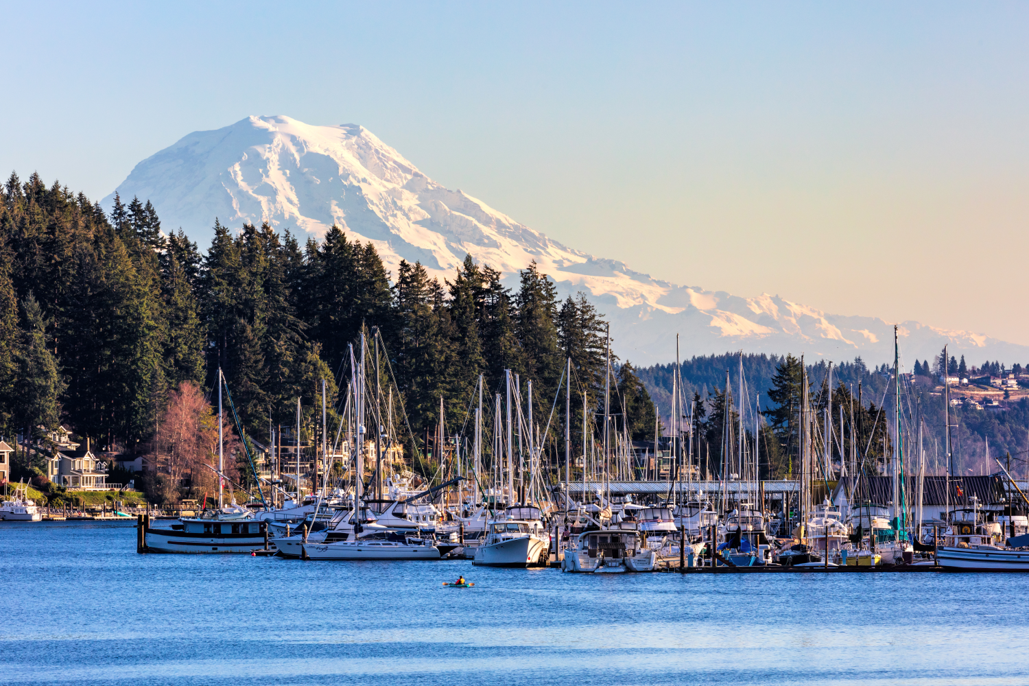 How to Choose the Right Anchor for Your Sailboat The Harbour Chandler
