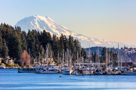 How to Choose the Right Anchor for Your Sailboat The Harbour Chandler