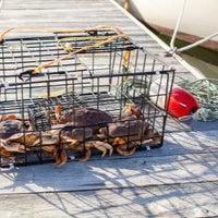 Crabbing - Prawning Accessories