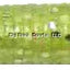 Big Bite Baits 5" Trick Stick - 8 Pack - Pearl Silver Flake