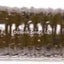 Big Bite Baits 5" Trick Stick - 8 Pack - Chartreuse Pepper