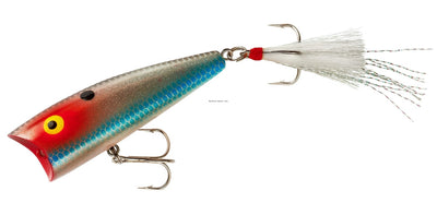 Rebel Pop-R Plus Topwater Bait 1/4 oz - Silver Shad
