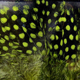 Hareline Dubbin UV2 Large Eyed Guinea Feathers