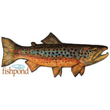 Fishpond Local Sticker - 6"