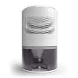 Eva-Dry EDV-2400 Large Dehumidifier with Humidistat (+ 3 Ft Drain Hose Included!)