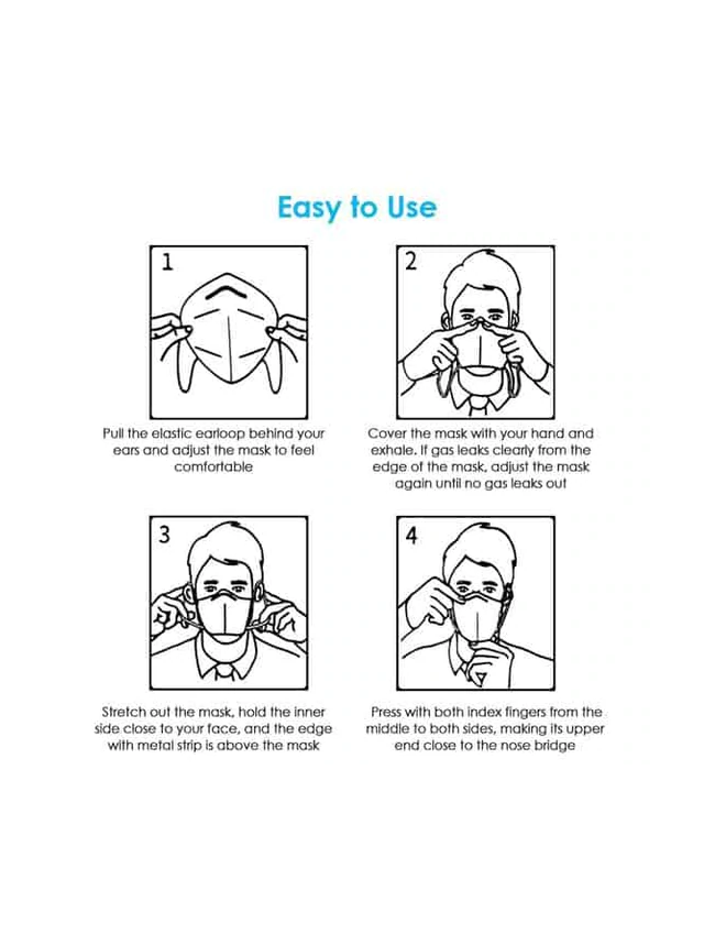 N95 Dust Mask - 10 Pack