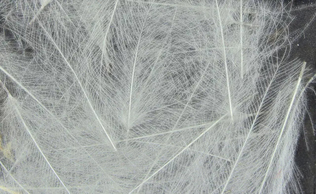Hareline UV2 Select CDC Feathers - Light Dun #053 Hareline Dubbin
