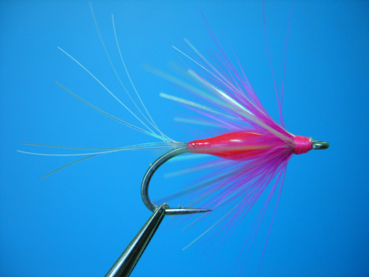 Dragonfly Brite Fly Hot Pink