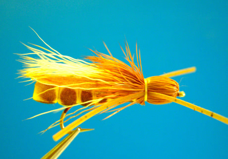 Dragonfly Extended Foam Golden Stone
