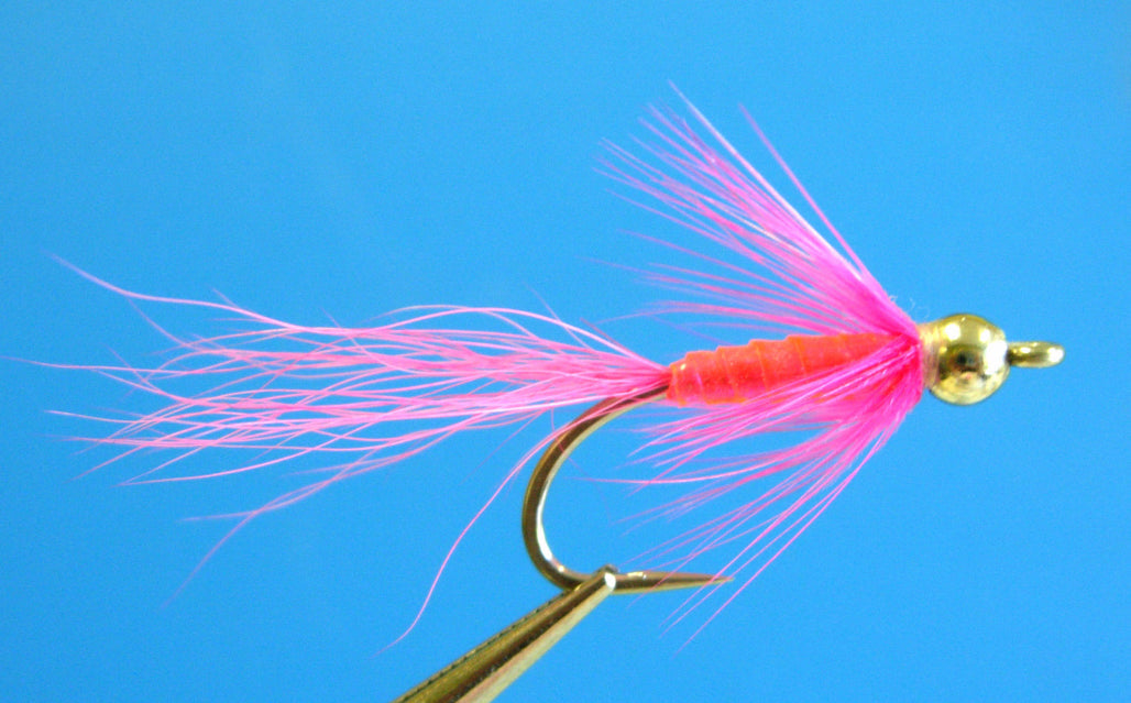 Dragonfly Beach Lantern Pink #6
