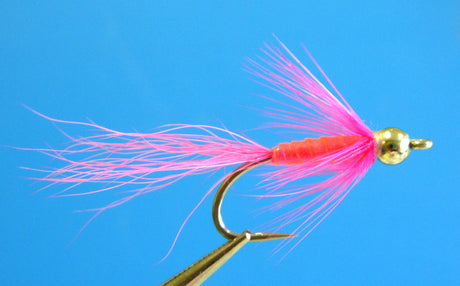 Dragonfly Beach Lantern Pink #6