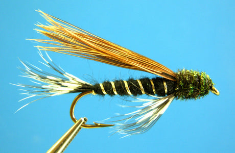 Dragonfly Doc Spratley Black