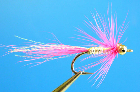 Dragonfly Pink Comet