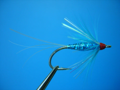 Dragonfly Brite Fly Blue