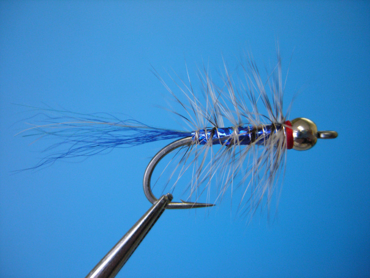 Dragonfly Bead Head California Neil Blue #6