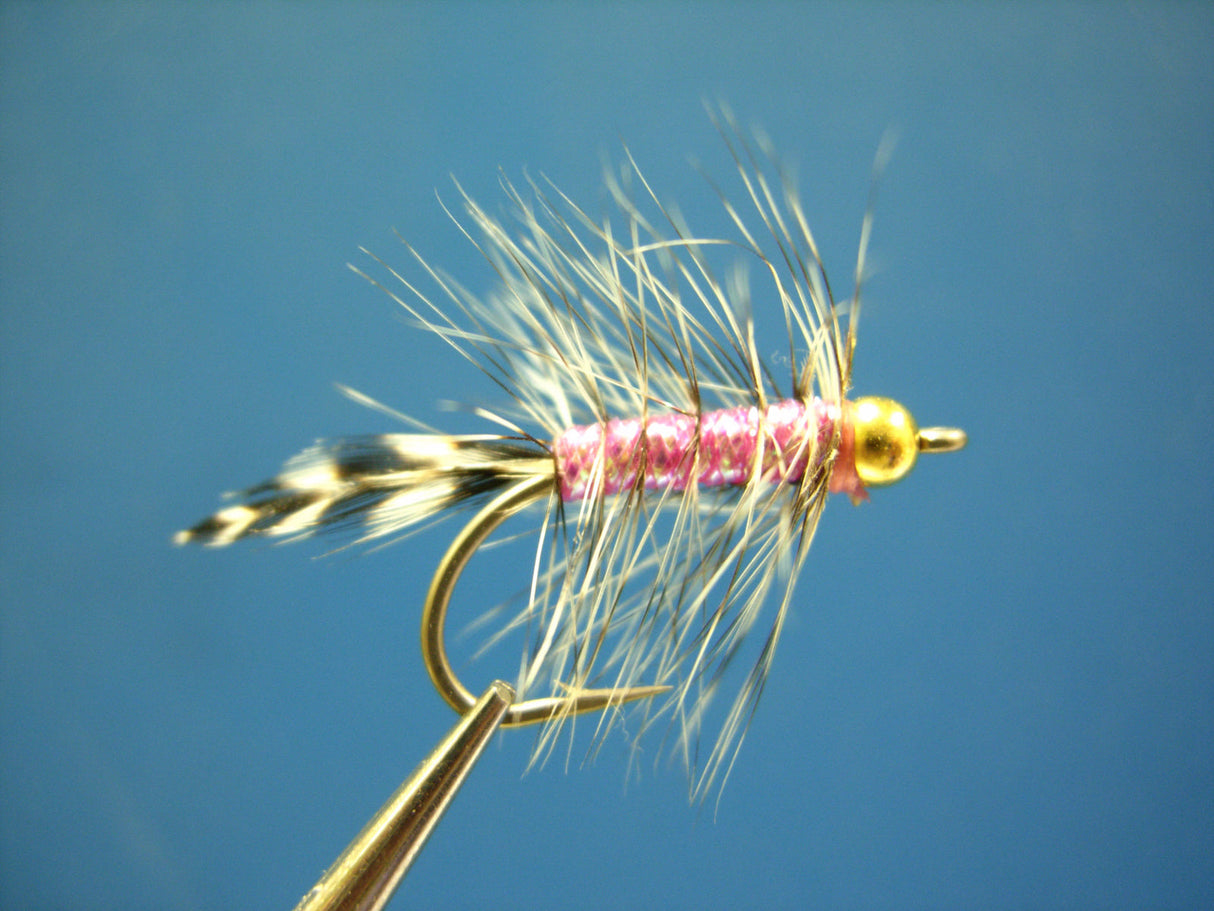 Dragonfly Bead Head California Neil Pink