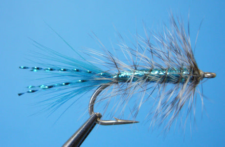 Dragonfly California Neil Blue