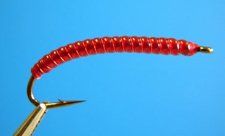 Dragonfly Blood Worm