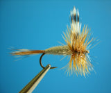 Dragonfly Adams