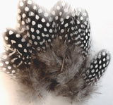 Hareline Dubbin UV2 Large Eyed Guinea Feathers