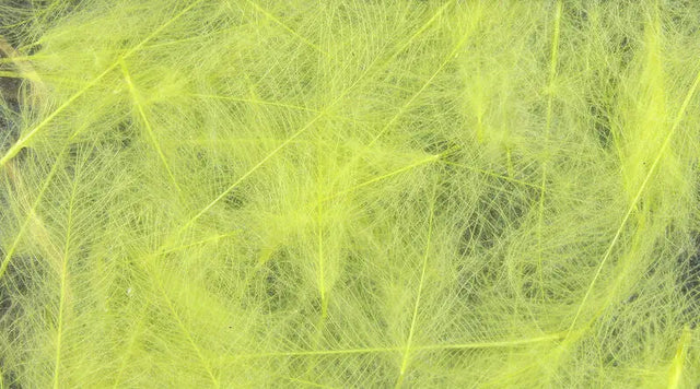 Hareline UV2 Select CDC Feathers - Pale Yellow #077 Hareline Dubbin