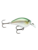 Arashi Silent Square #5 - Blue Back Herring