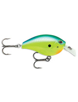 Arashi Silent Square #5 - Parrot