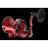 Red fishing reel on a black background