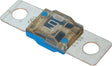 Blue Sea Midi Fuse 100 Amp (2/Pkg) 5256