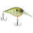 Berkley Dime Crankbait 2" – Mid-Depth Crank - Killer Gill