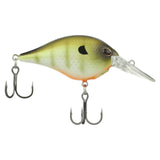 Berkley Dime Crankbait 2" – Mid-Depth Crank - Killer Gill